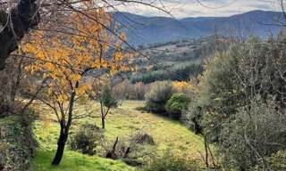 Terrain  8535 m² à vendre à Saint-Julien (34390)