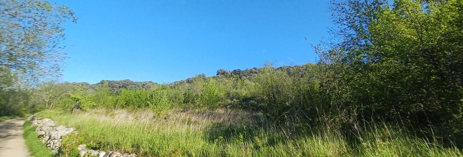 Terrain  11710 m² à vendre à Bédarieux (34600)