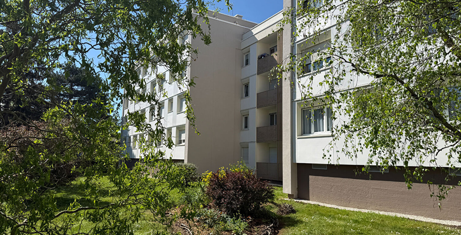 SAINT BENOIT: L'ÉCO-VERT — photo 1