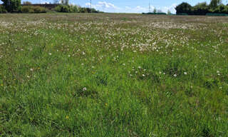 Terrain  2128 m² à vendre à Chantecoq (45320)