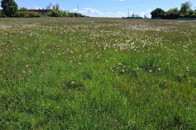 Terrain  33000 €