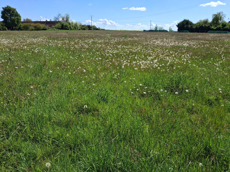 Terrain — photo 1