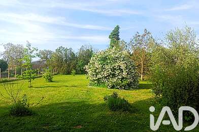 Terrain  75000 €