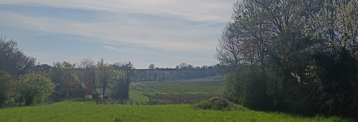 Maison 7 Pièces 129 m² à vendre à Montigny (18250)