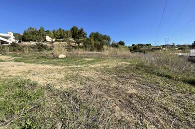 Terrain  180000 €