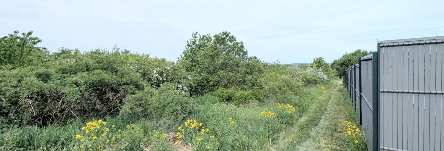Terrain  7197 m² à vendre à Boulay-Moselle (57220)