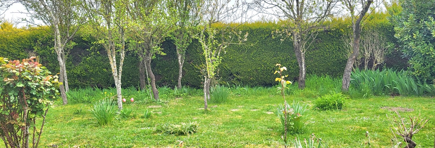 Maison 6 Pièces 125 m² à vendre à Neuillé-Pont-Pierre (37360)