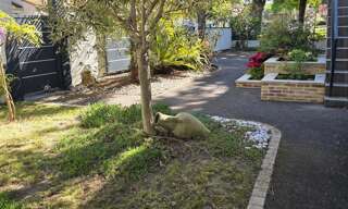 Maison 7 Pièces 161 m² à vendre à Saint-Sébastien-sur-Loire (44230)