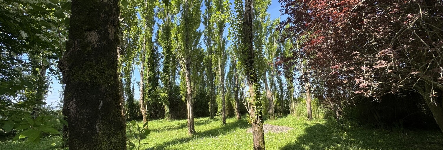 Maison 7 Pièces 210 m² à vendre à Saint-Boès (64300)