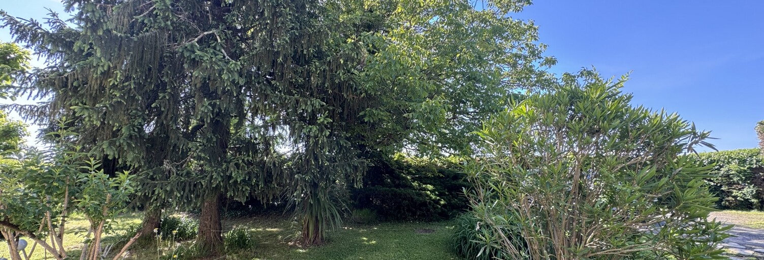 Maison 7 Pièces 210 m² à vendre à Saint-Boès (64300)