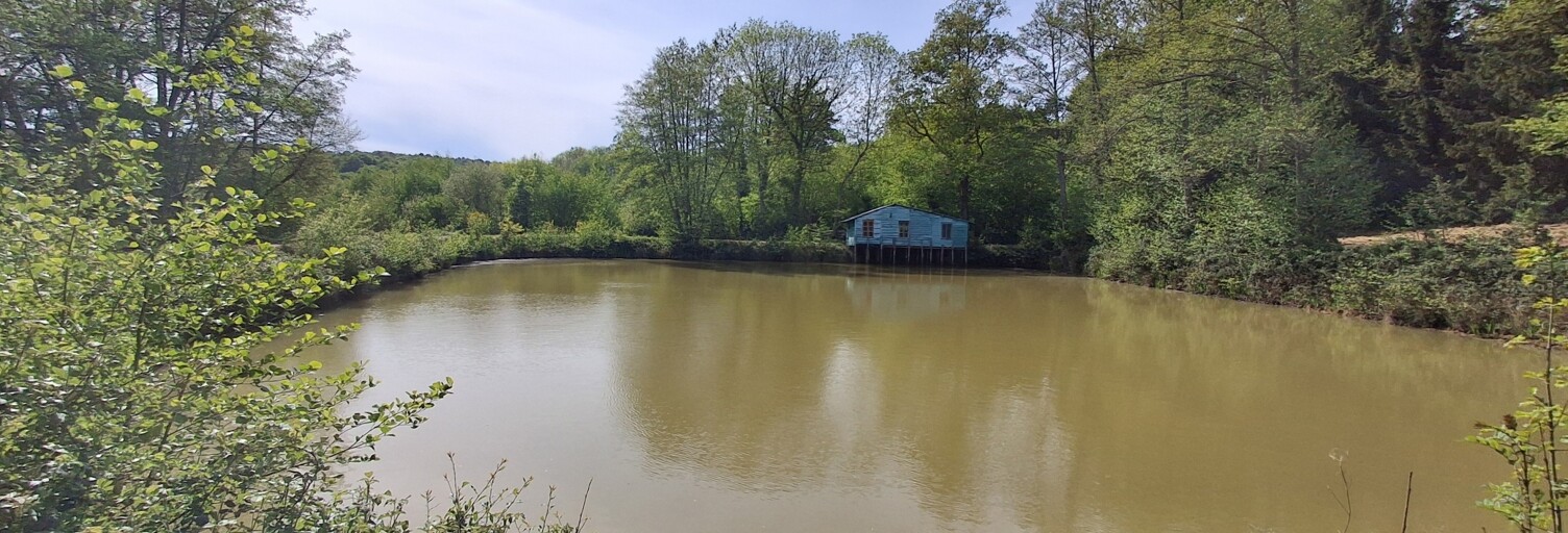 Terrain  5800 m² à vendre à Domfront-en-Champagne (72240)