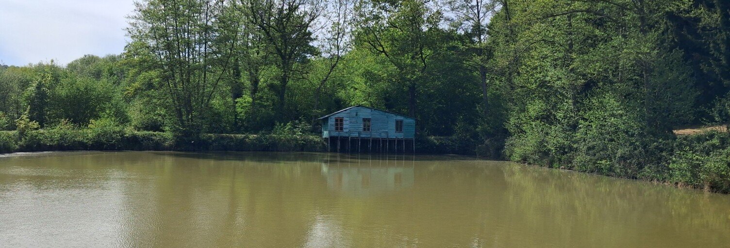Photo N° 2