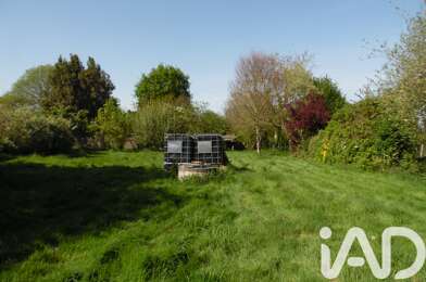 Terrain  60000 €