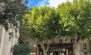 Appartement 2 Pièces 50 m² à vendre à L'Isle-sur-la-Sorgue (84800)