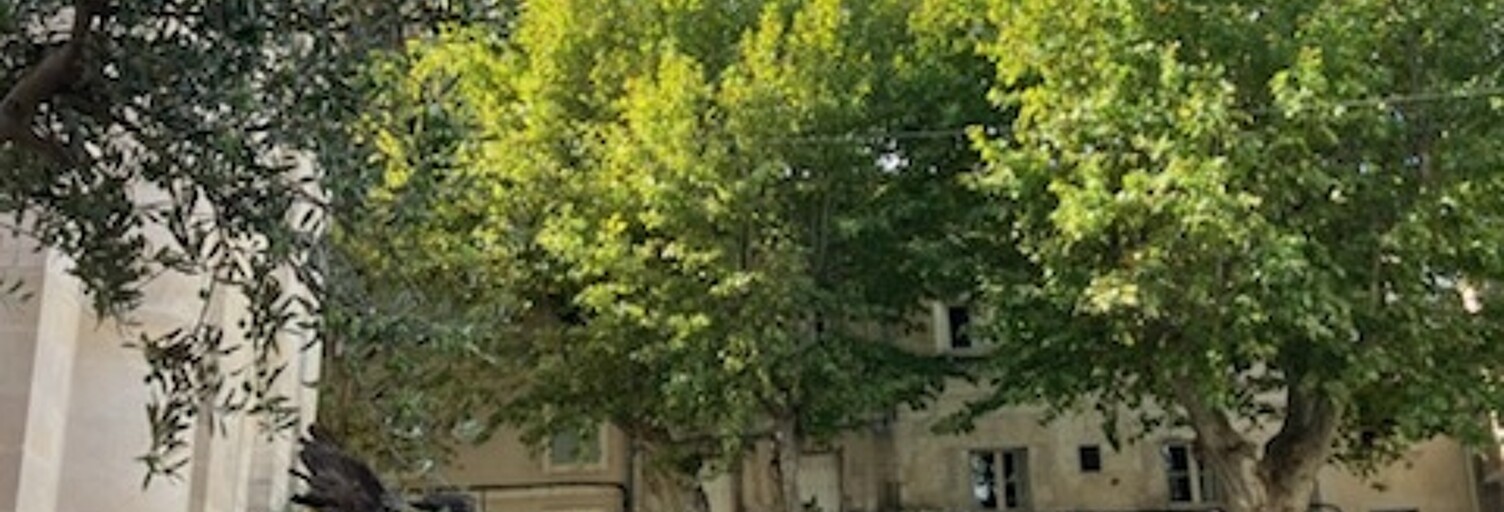 Appartement 2 Pièces 50 m² à vendre à L'Isle-sur-la-Sorgue (84800)