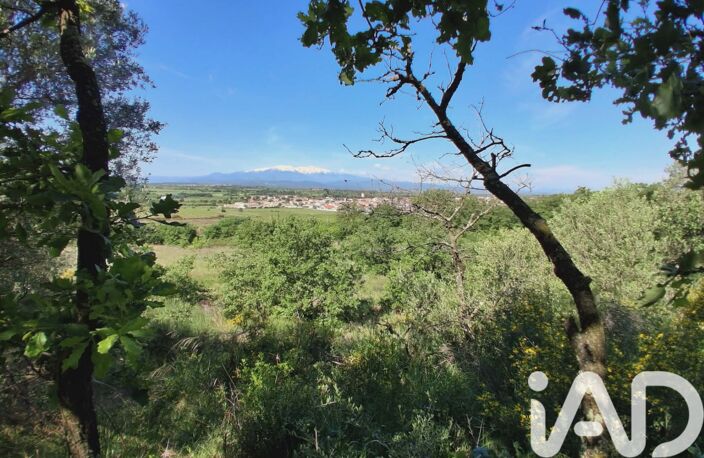 Vente Terrain 4 000 m&sup2; — photo 3