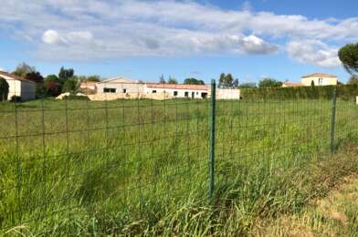 Terrain  55000 €