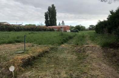 Terrain  49590 €