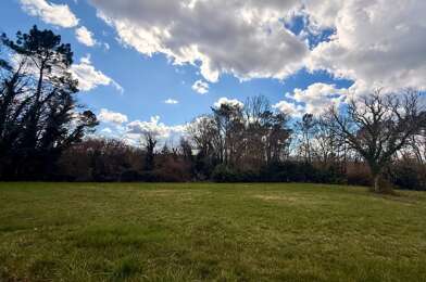 Terrain  20000 €