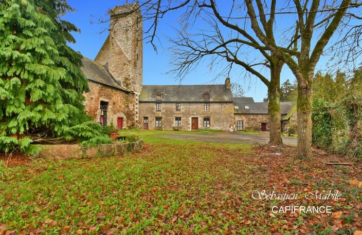 Propriete à vendre 10 pièces (35) LA BOUSSAC en Baie du Mont Saint Michel - 11 600 M² de terrain — photo 4