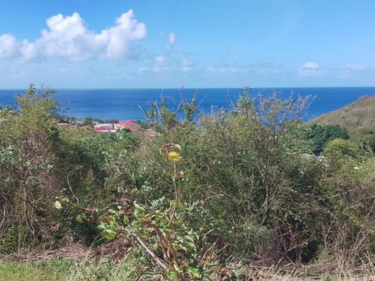Baillif. Terrain 1095 m2 avec vue mer exceptionnelle — photo 1