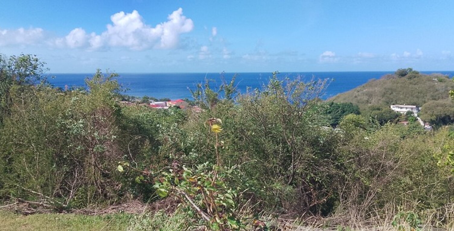 Baillif. Terrain 1095 m2 avec vue mer exceptionnelle — photo 1
