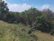 Baillif. Terrain 1095 m2 avec vue mer exceptionnelle — photo 2