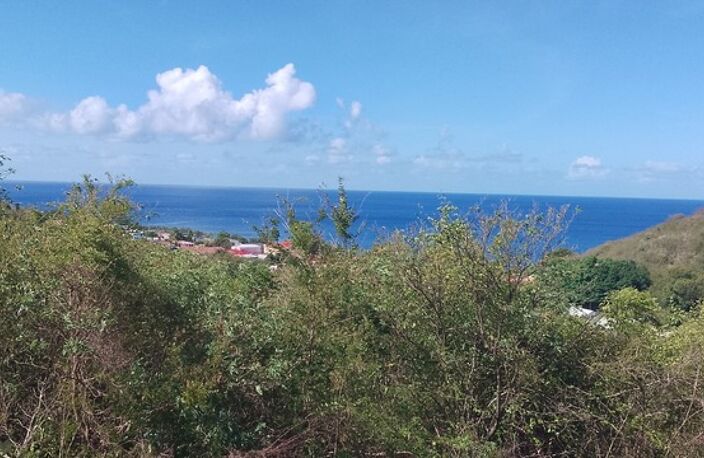 Baillif. Terrain 1095 m2 avec vue mer exceptionnelle — photo 3