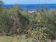 Baillif. Terrain 1095 m2 avec vue mer exceptionnelle — photo 4
