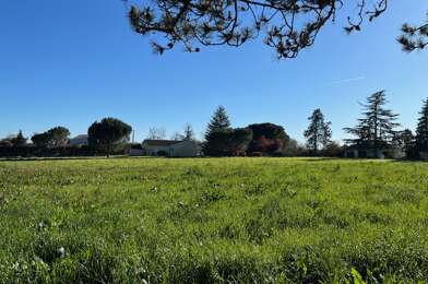 Terrain  45000 €