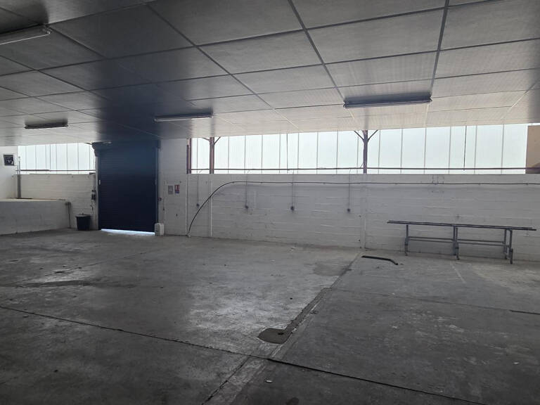 LOCAL D'ACTIVITE A LOUER ANGERS — photo 1