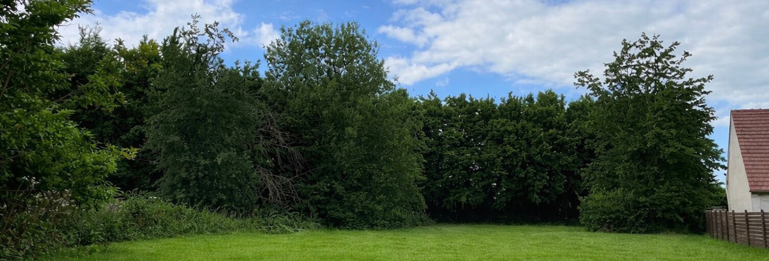 Terrain  917 m² à vendre à Beaumont-en-Beine (02300)