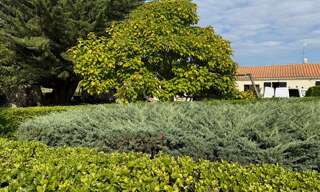 Maison 10 Pièces 147 m² à vendre à Saint-Georges-d'Oléron (17190)