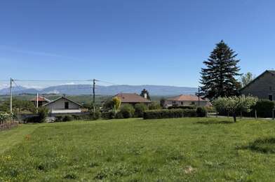 Terrain  382000 €