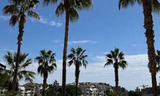 Commerce 1 Pièce 55 m² à vendre à Cannes (06150)