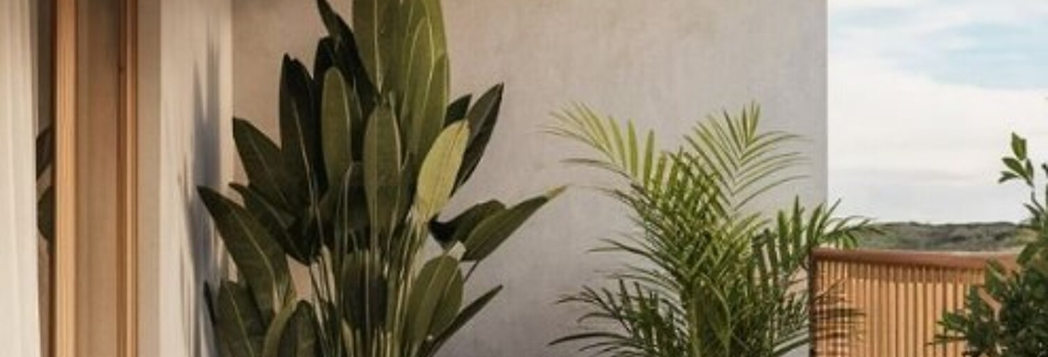 Appartement 2 Pièces 60 m² à vendre à Saint-Rémy-de-Provence (13210)