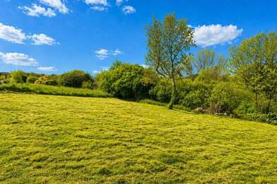 Terrain  99500 €