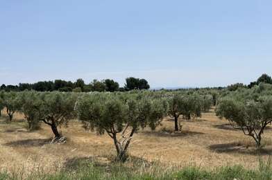 Terrain  155000 €