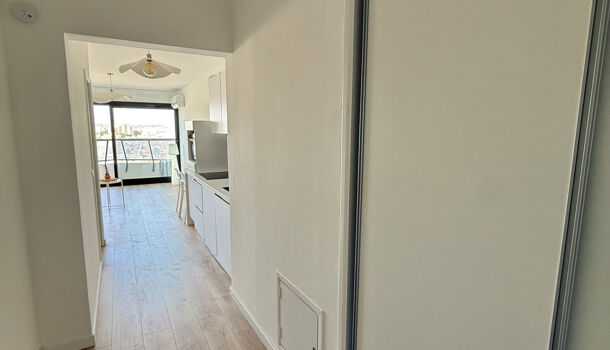 Appartement 1 pièces  à louer Marseille 8eme 13008