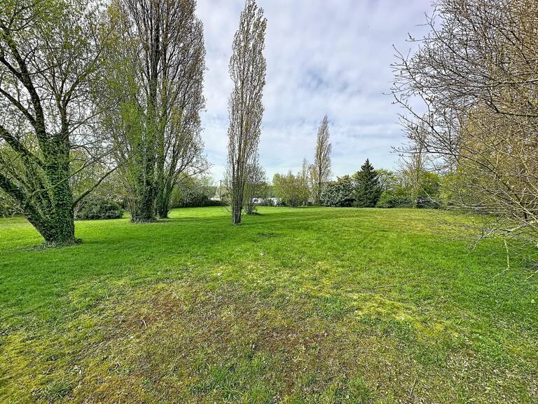 Terrain — photo 1