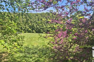 Terrain  110000 €
