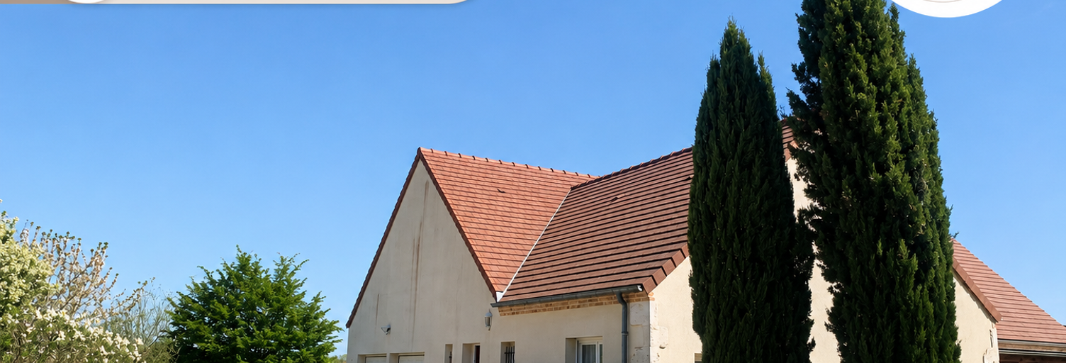 Maison 7 Pièces 210 m² à vendre à Saint-Denis-en-Val (45560)