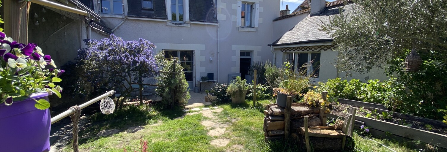 Maison 9 Pièces 243 m² à vendre à Genillé (37460)