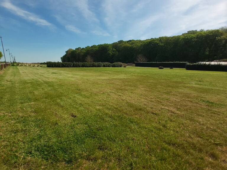 Vente Terrain 800 m&sup2; — photo 1