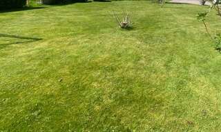 Terrain  800 m² à vendre à Guipavas (29490)