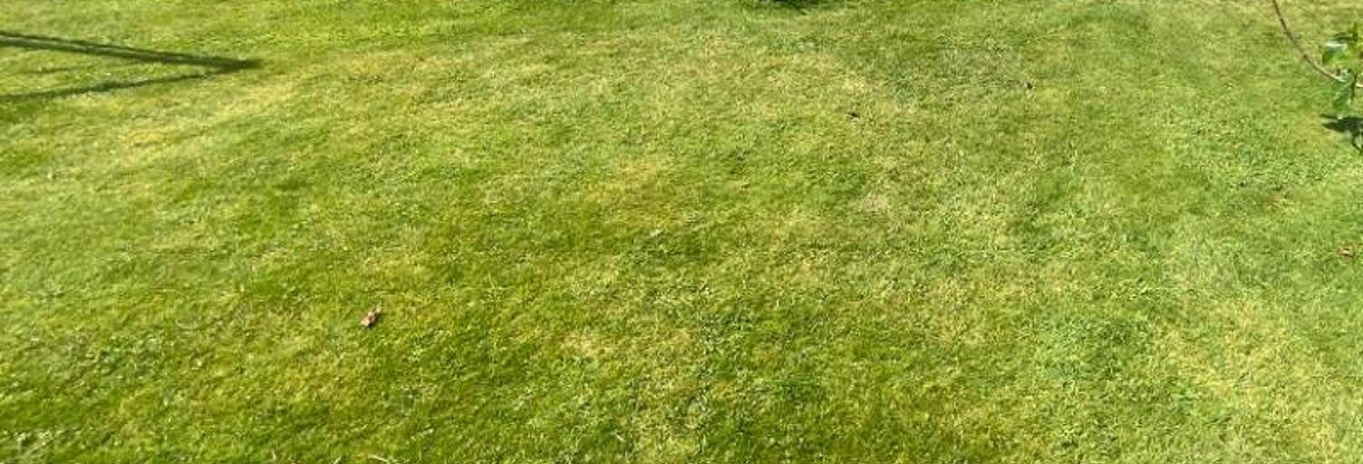 Terrain  800 m² à vendre à Guipavas (29490)