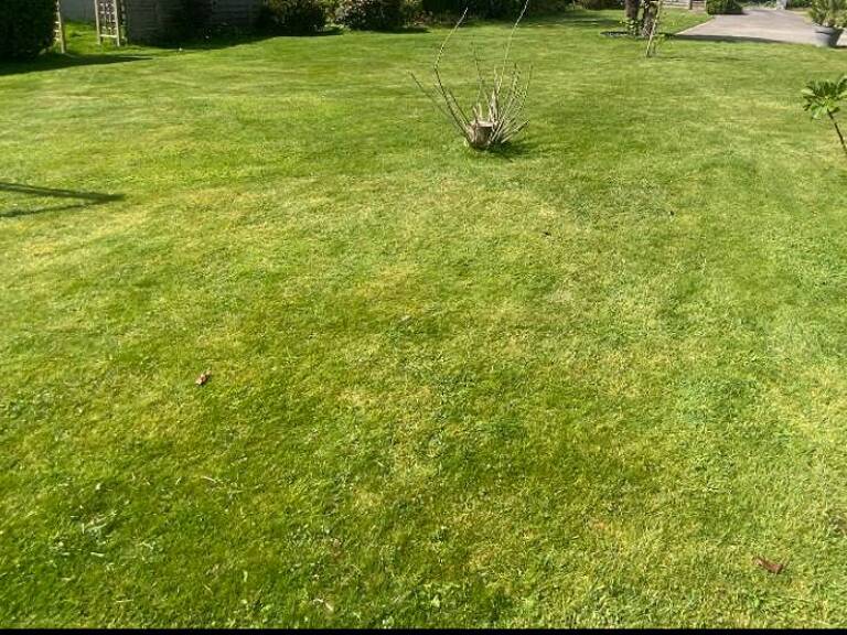Terrain à bâtir de 0 pièces principales — photo 1