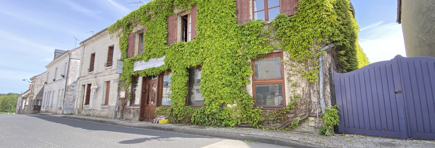 Maison 9 Pièces 325 m² à vendre à Chambourg-sur-Indre (37310)