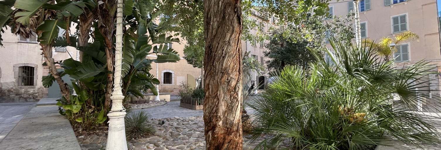 Appartement 1 Pièce 31 m² à vendre à Toulon (83000)