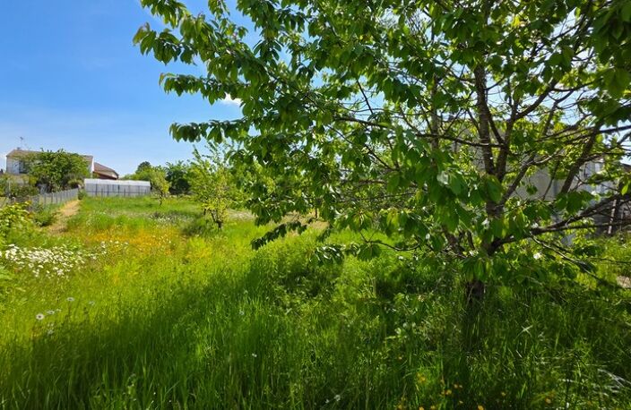 EN EXCLUSIVITE JOLIE TERRAIN  DE 583 M² AVEC CU OPERATIONNEL POSITIF DANS QUARTIER RESIDENTIEL — photo 3